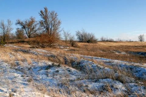 Winter landscape Stock Photos