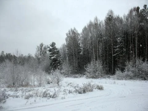 Winter landscape Stock Photos