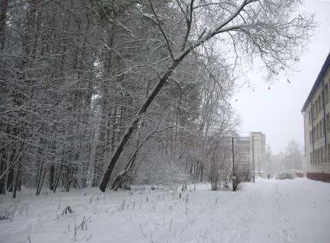 Winter landscape Stock Photos