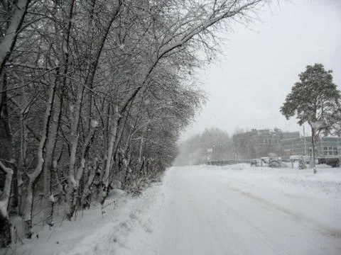 Winter landscape Stock Photos