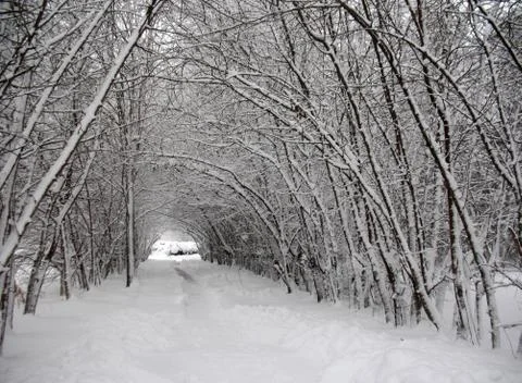 Winter landscape Stock Photos