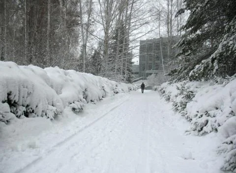 Winter landscape Stock Photos