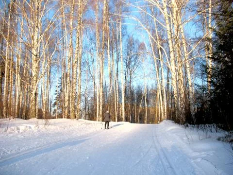 Winter landscape Stock Photos