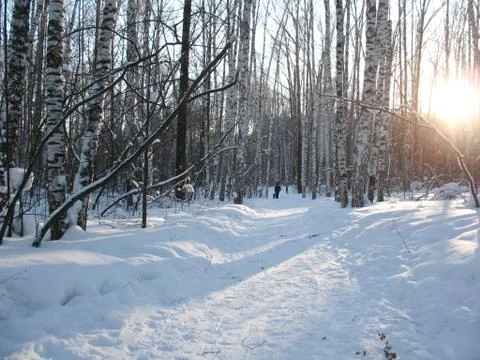 Winter landscape Stock Photos