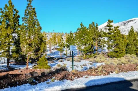 Winter Landscape Foto stock