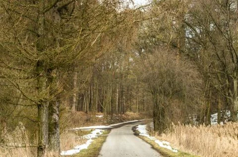  Winter landscape Stock Photos