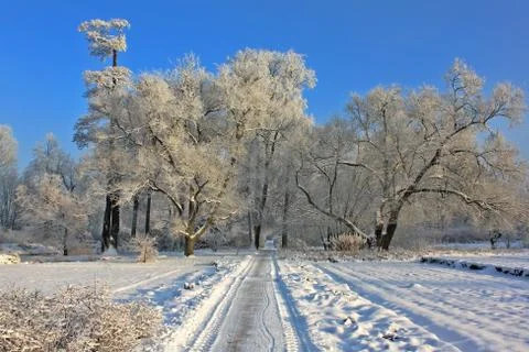 Winter landscape Stock Photos