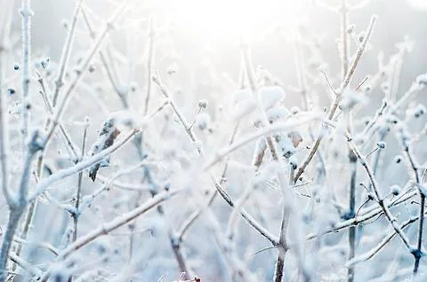 Winter Landscape Stock Photos