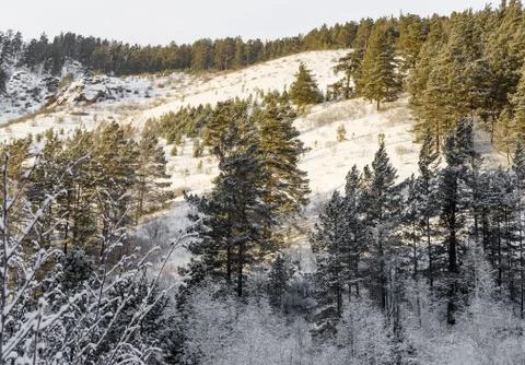 Winter landscape Stock Photos