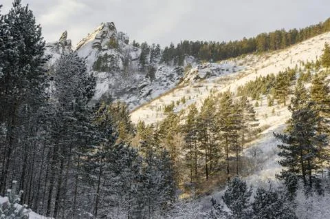 Winter landscape Stock Photos