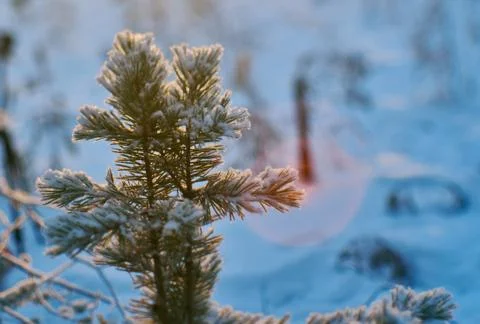 Winter landscape Stock Photos