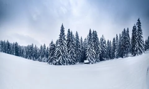 Winter landscape Stock Photos