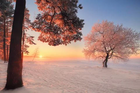 Winter landscape Stock-Fotos