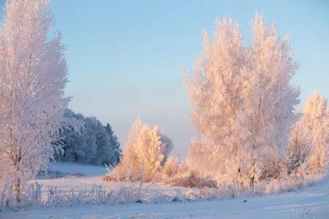 Winter landscape Foto stock
