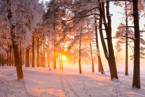 Winter landscape Stock-Fotos