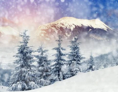 Winter landscape 写真素材