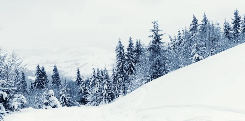 Winter landscape Stock-Fotos