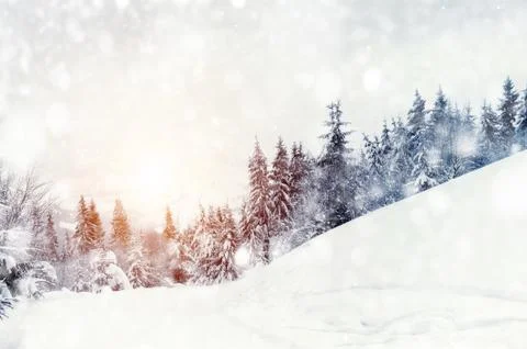 Winter landscape Stock Photos