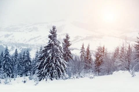 Winter landscape 写真素材