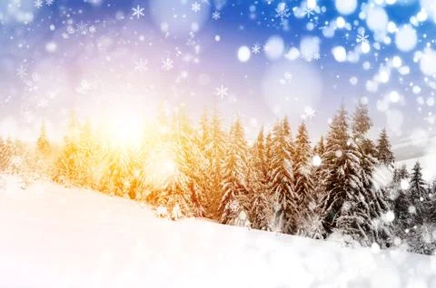 Winter landscape Foto stock