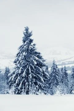 Winter landscape Stock-Fotos