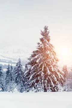 Winter landscape Foto stock