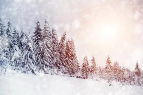 Winter landscape Stock-Fotos