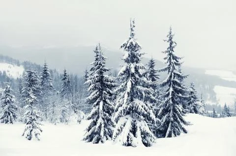 Winter landscape Stock-Fotos