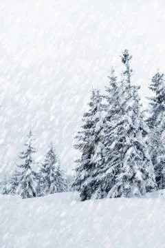 Winter landscape Stock Photos