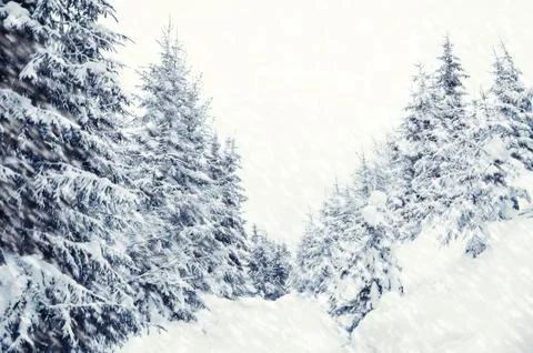 Winter landscape 写真素材