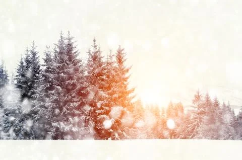 Winter landscape Foto stock
