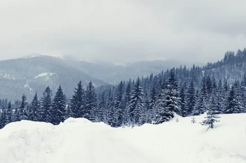 Winter landscape 写真素材