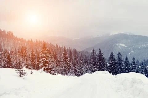 Winter landscape Stock-Fotos