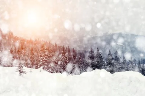 Winter landscape Foto stock