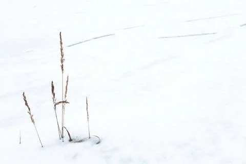 Winter landscape Stock Photos