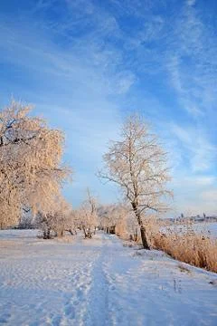 Winter landscape Foto stock