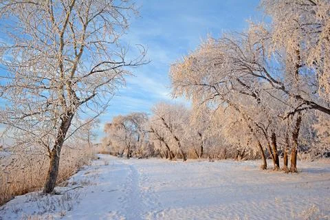 Winter landscape Foto stock