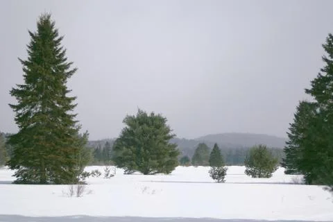 A Winter Landscape 写真素材