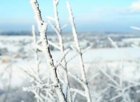 Winter landscape Stock Photos