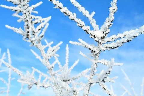 Winter landscape Stock-Fotos