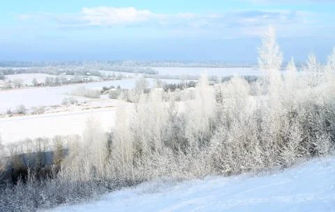 Winter landscape Stock Photos