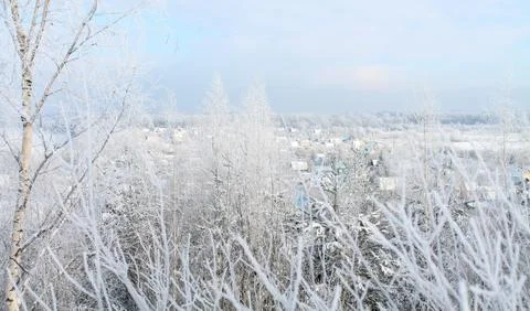 Winter landscape Stock Photos