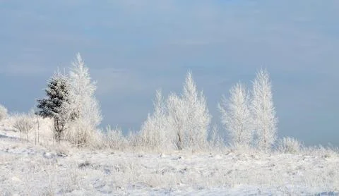 Winter landscape Stock Photos