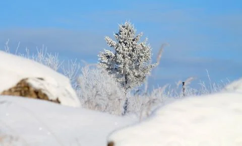 Winter landscape Stock Photos