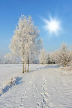 Winter landscape Stock-Fotos