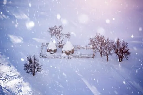 Winter landscape Stock Photos