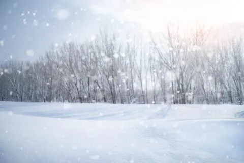 Winter landscape Stock Photos
