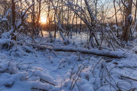 Winter landscape Stock Photos