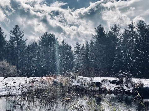 Winter landscape 库存照片