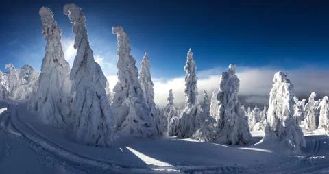 Winter landscape Stock Photos